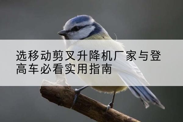 浦口电动升降机厂家-选移动剪叉升降机厂家与登高车必看实用指南