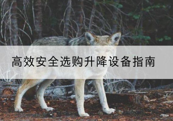 浦口升降货梯厂家推荐-*安全选购升降设备指南