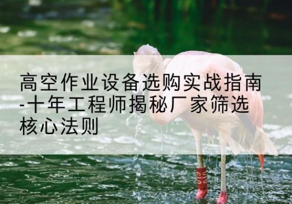 浦口剪叉式升降机厂家-高空作业设备选购实战指南-十年工程师揭秘厂家筛选核心法则